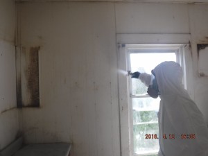 Black mold removal Cincinnati Ohio 