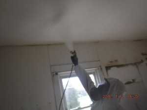 Black mold removal Cincinnati Ohio 