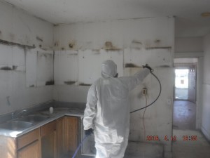 Black mold removal Cincinnati Ohio 