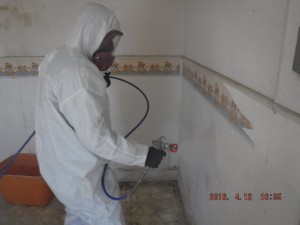 Black mold removal Cincinnati Ohio 