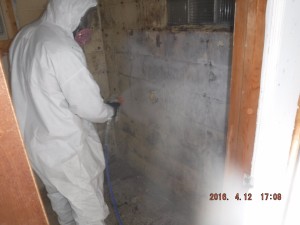 Black mold removal Cincinnati Ohio 