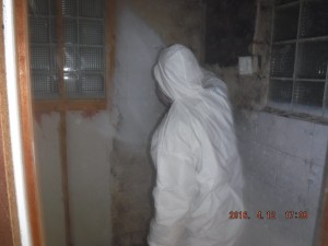 Black mold removal Cincinnati Ohio 