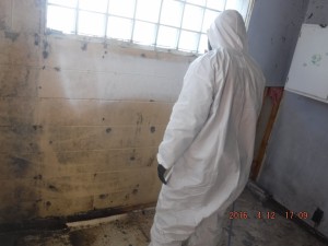 Black mold removal Cincinnati Ohio 