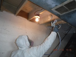 Black mold removal Cincinnati Ohio 