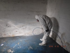Black mold removal Cincinnati Ohio 