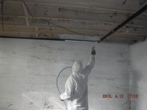 Black mold removal Cincinnati Ohio 