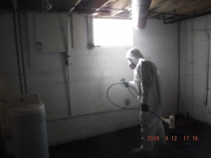 Black mold removal Cincinnati Ohio 