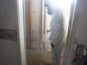 Black mold removal Mansfield Ohio 