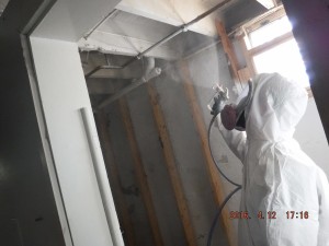 Black mold removal Mansfield Ohio 