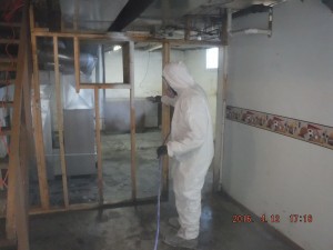 Black mold removal Mansfield Ohio  