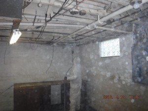 Black mold removal Mansfield Ohio    