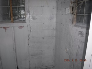 Black mold in house Mansfield Ohio                           