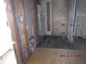 Black mold in basement Mount Vernon Ohio