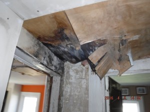 Black mold in house Mount Vernon Ohio    