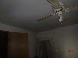 Black mold in house Cleveland Ohio   