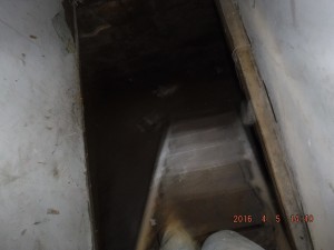 Black mold in basement Cleveland Ohio   