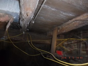 Black mold in basement Cleveland Ohio   