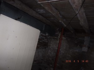 Black mold in basement Cleveland Ohio   