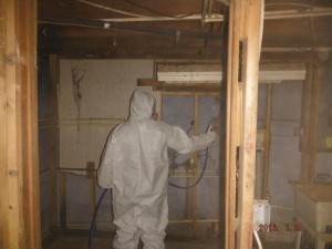 Black mold removal basement Mansfield Ohio   