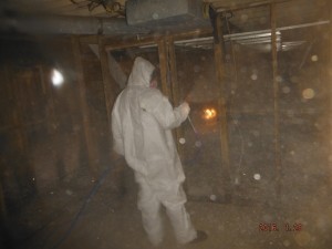 Black mold removal basement  Mansfield Ohio    