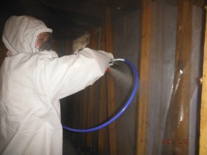 Black mold removal basement  Mansfield Ohio    